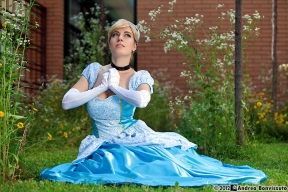 A Dream is a Wish Your Heart Make