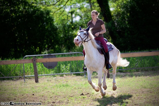 Giddy-Up