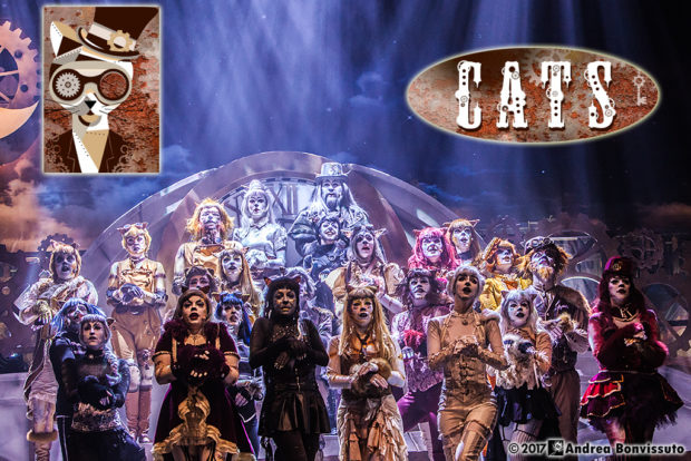 Cats